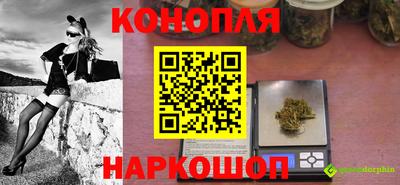 стаф Усть-Илимск